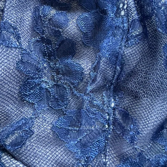 Victoria’s Secret Lace Bra SZ 38DD - Picture 2 of 10